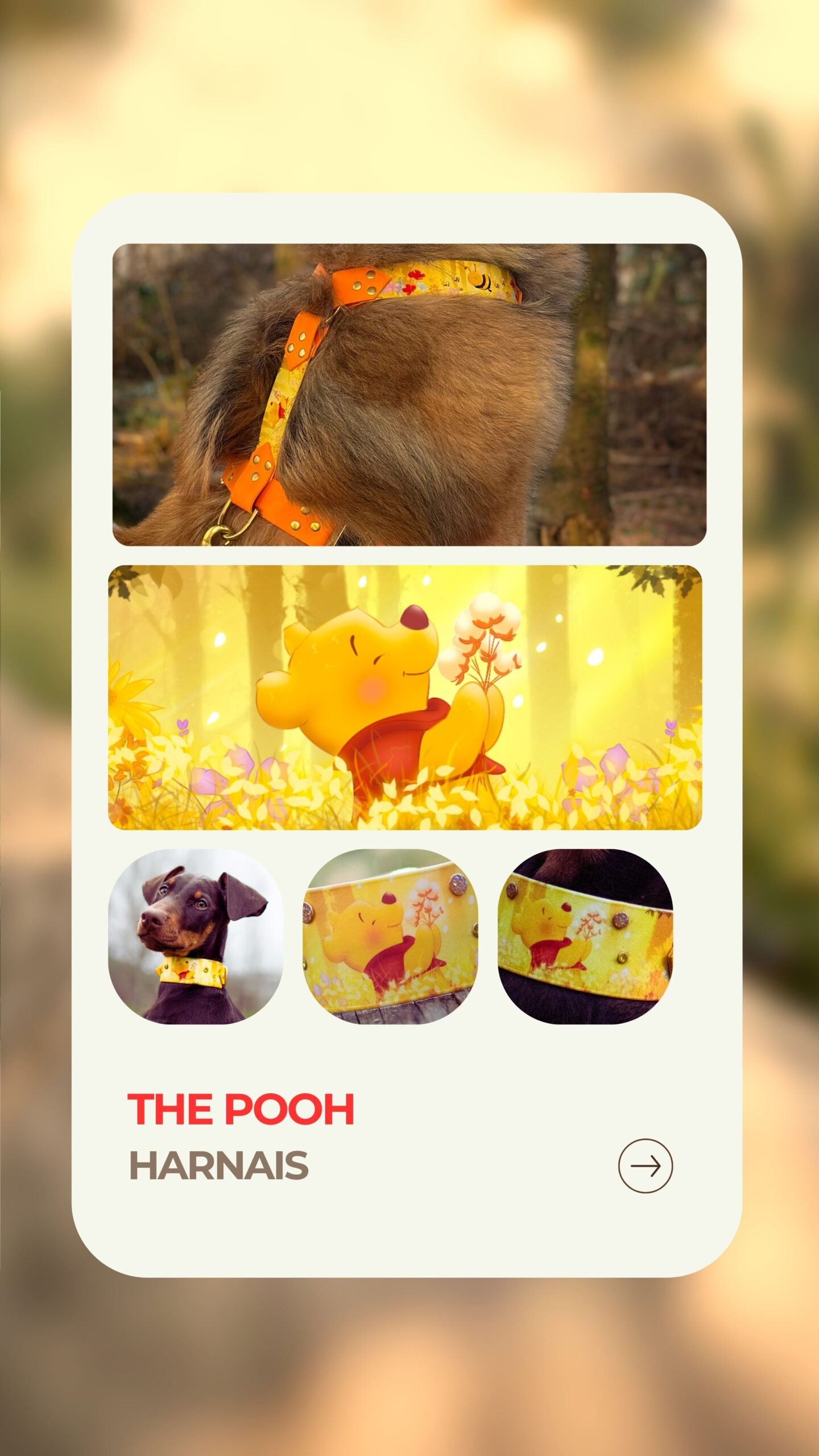 The Pooh - Harnais