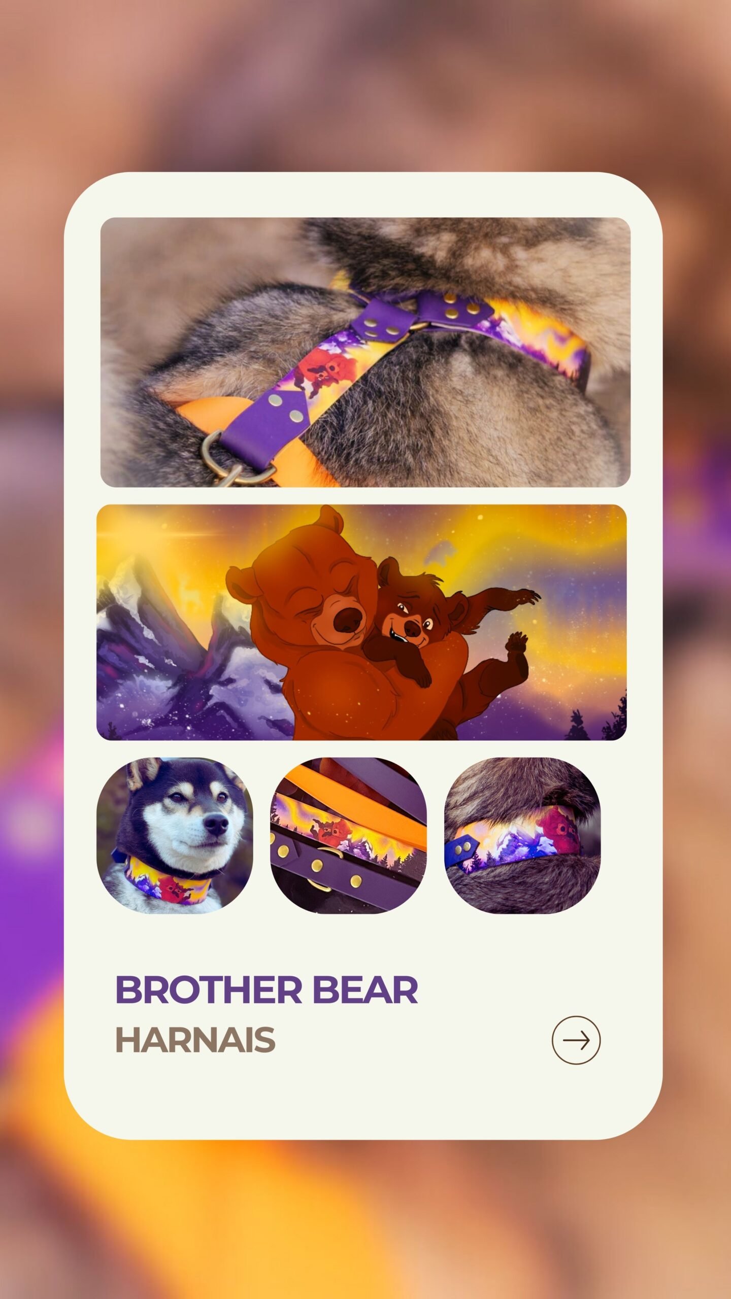Brother Bear - Harnais