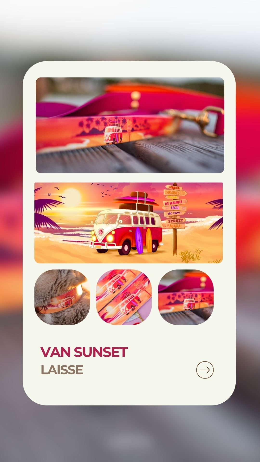 Van Sunset - Laisse