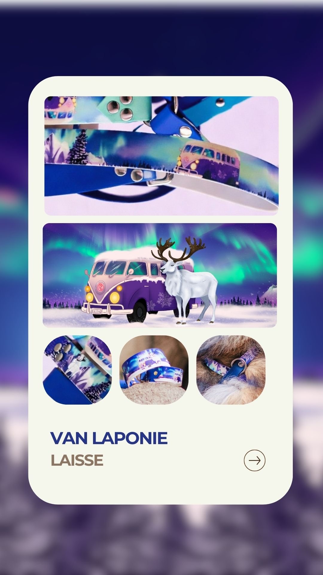 Van Laponie - Laisse