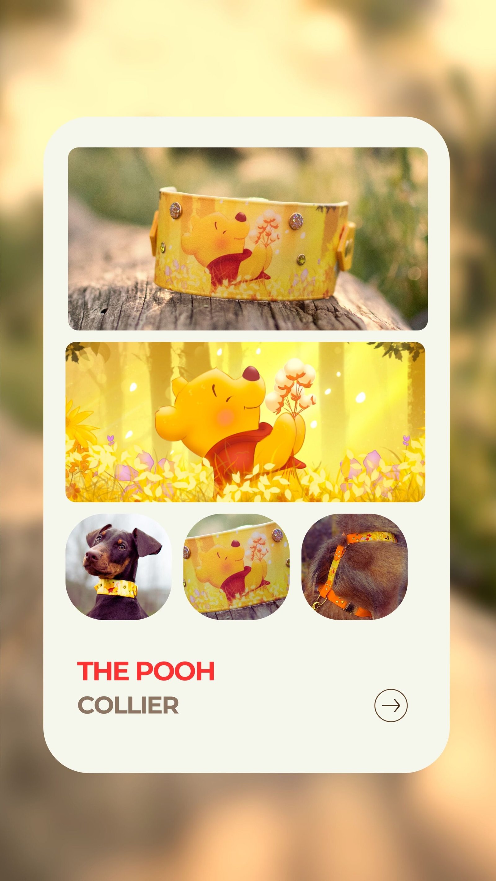 The Pooh - Collier