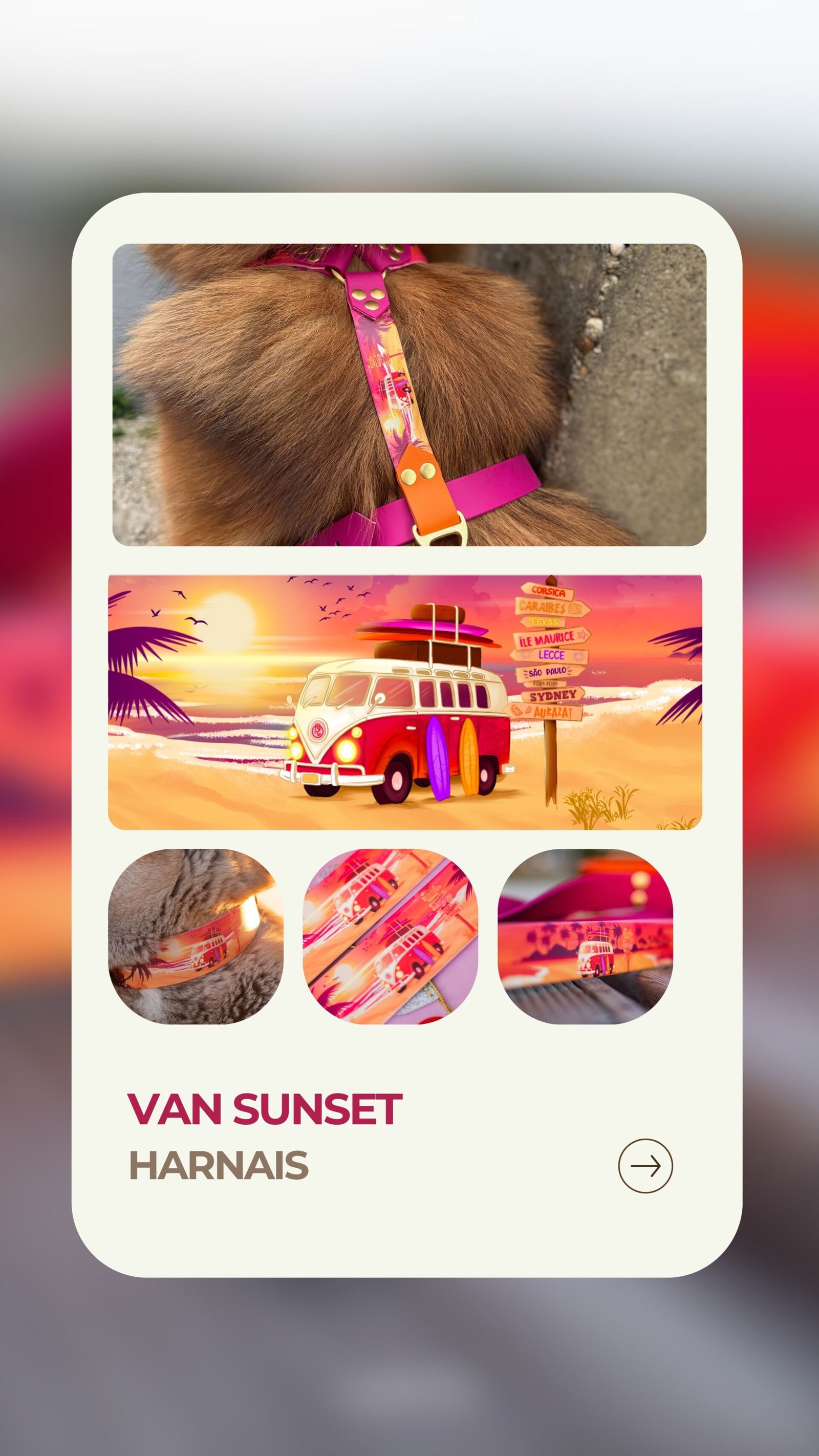 Van Sunset - Harnais