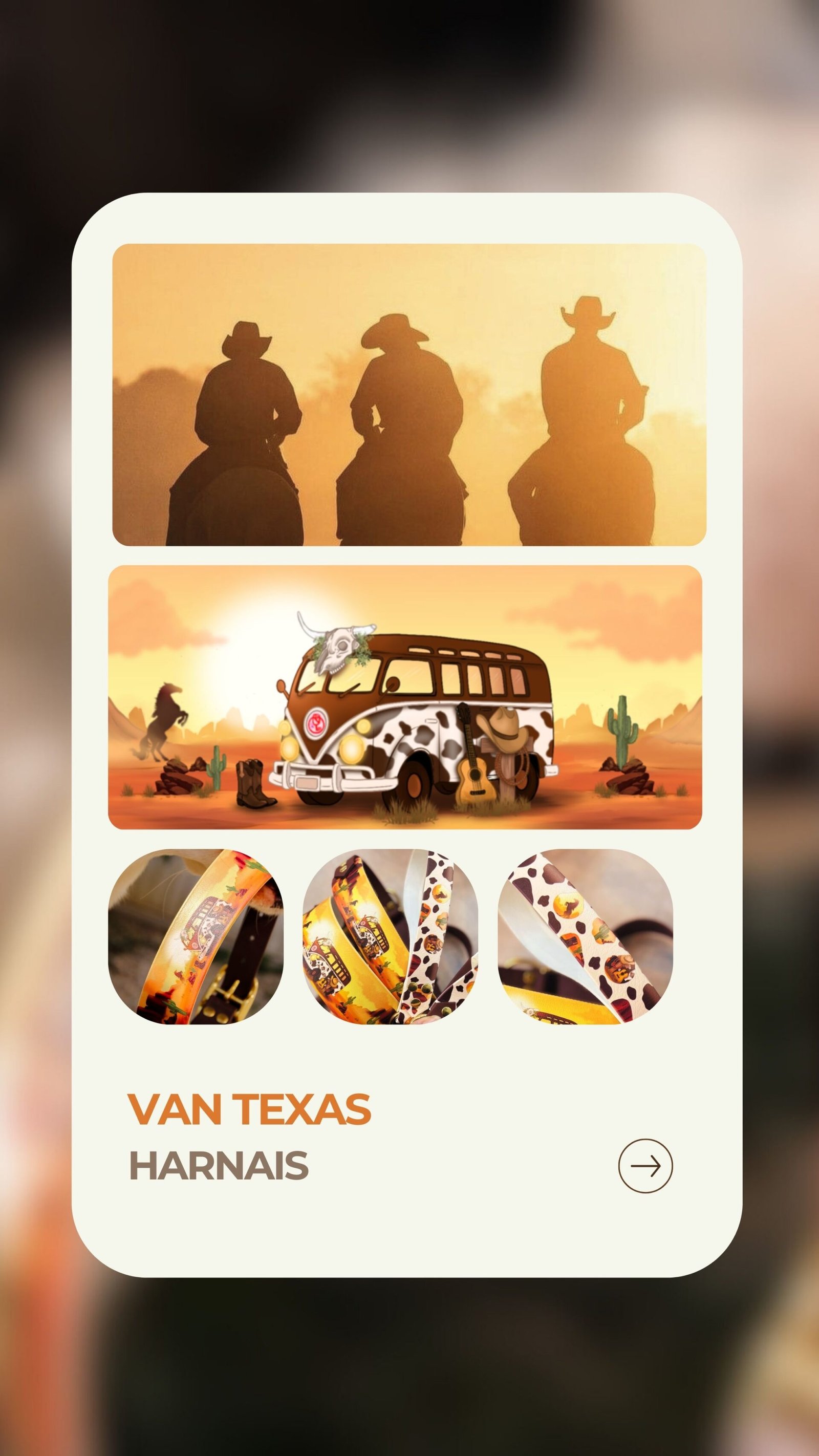 Van Texas - Harnais