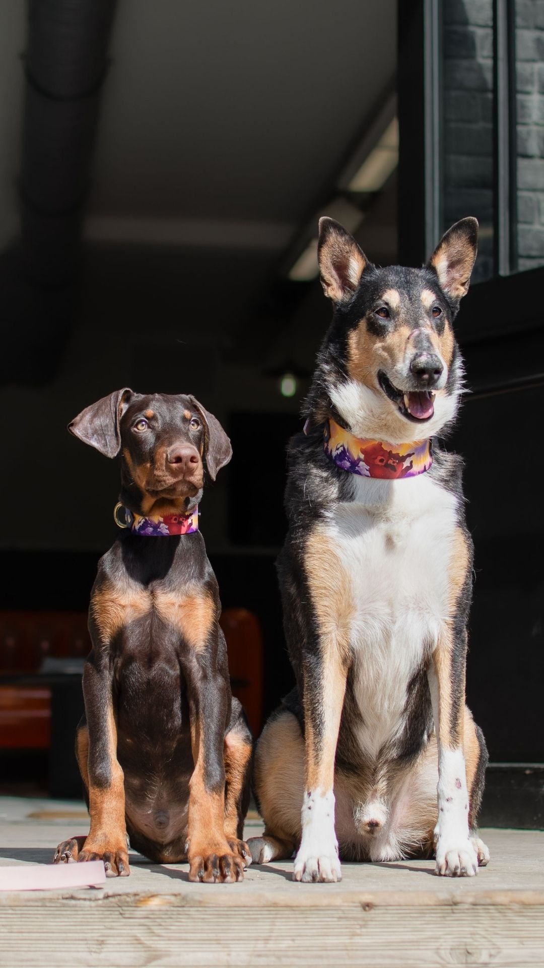 Brother Bear - Collier – Image 3