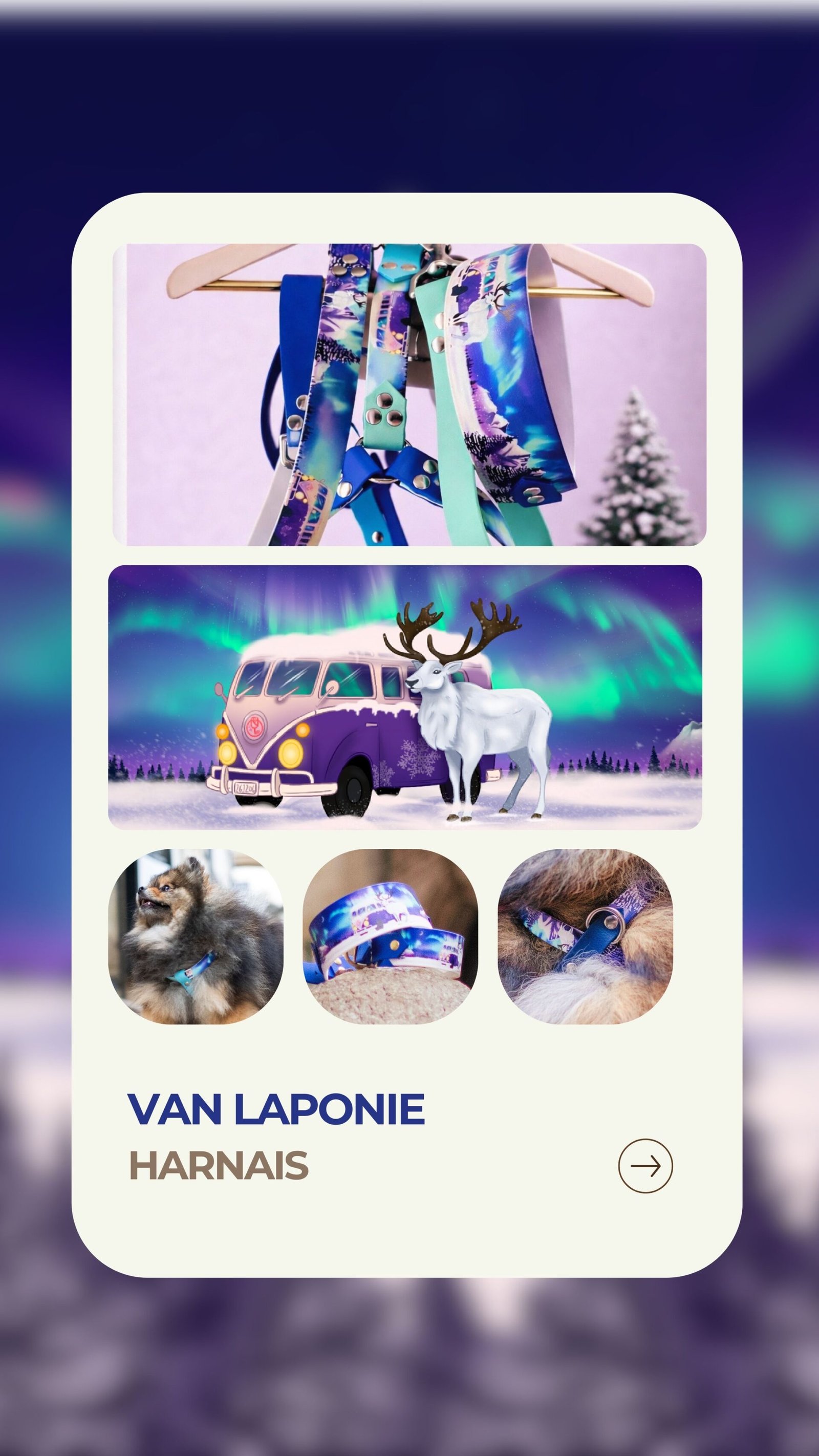 Van Laponie - Harnais