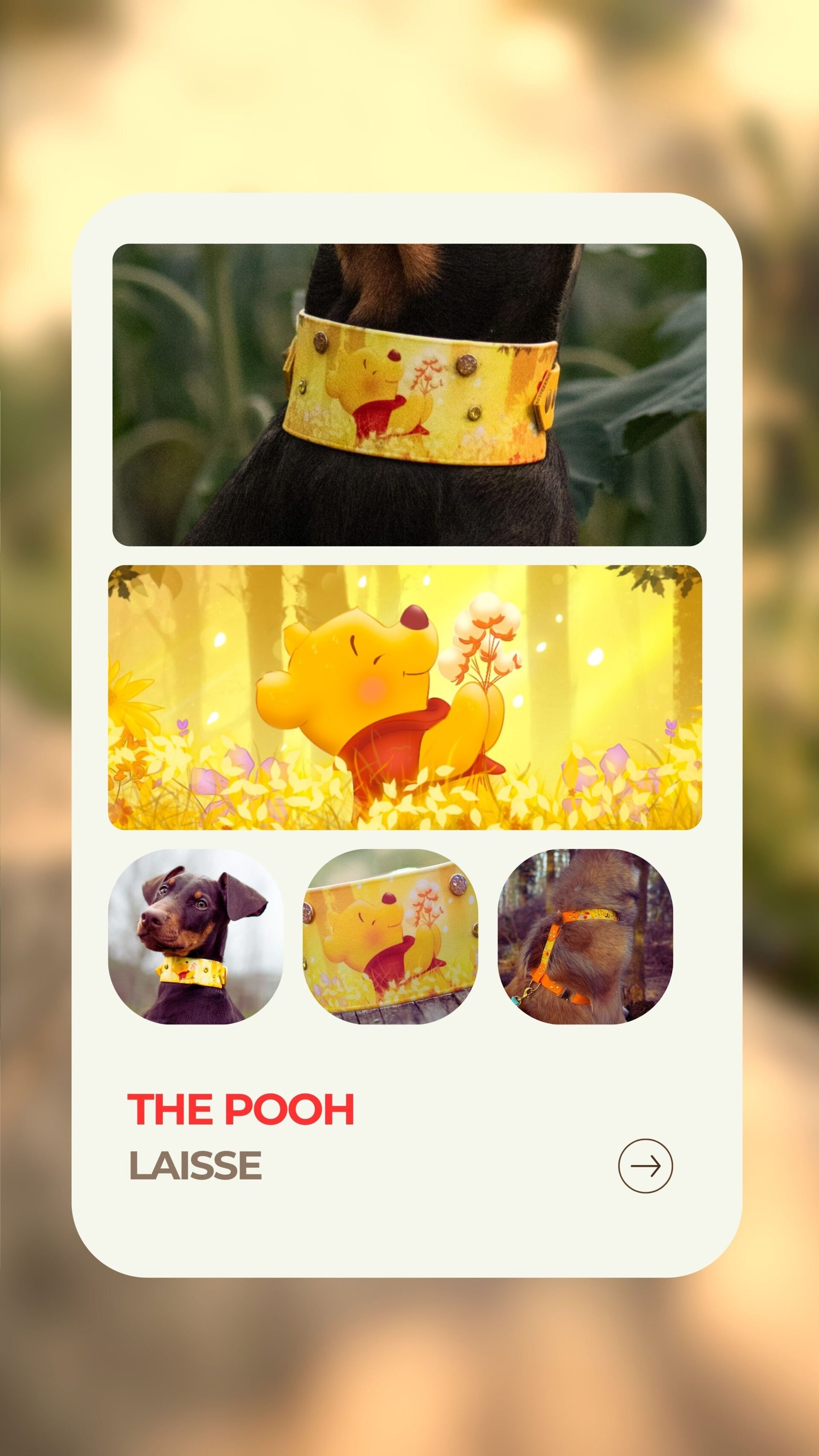 The Pooh - Laisse