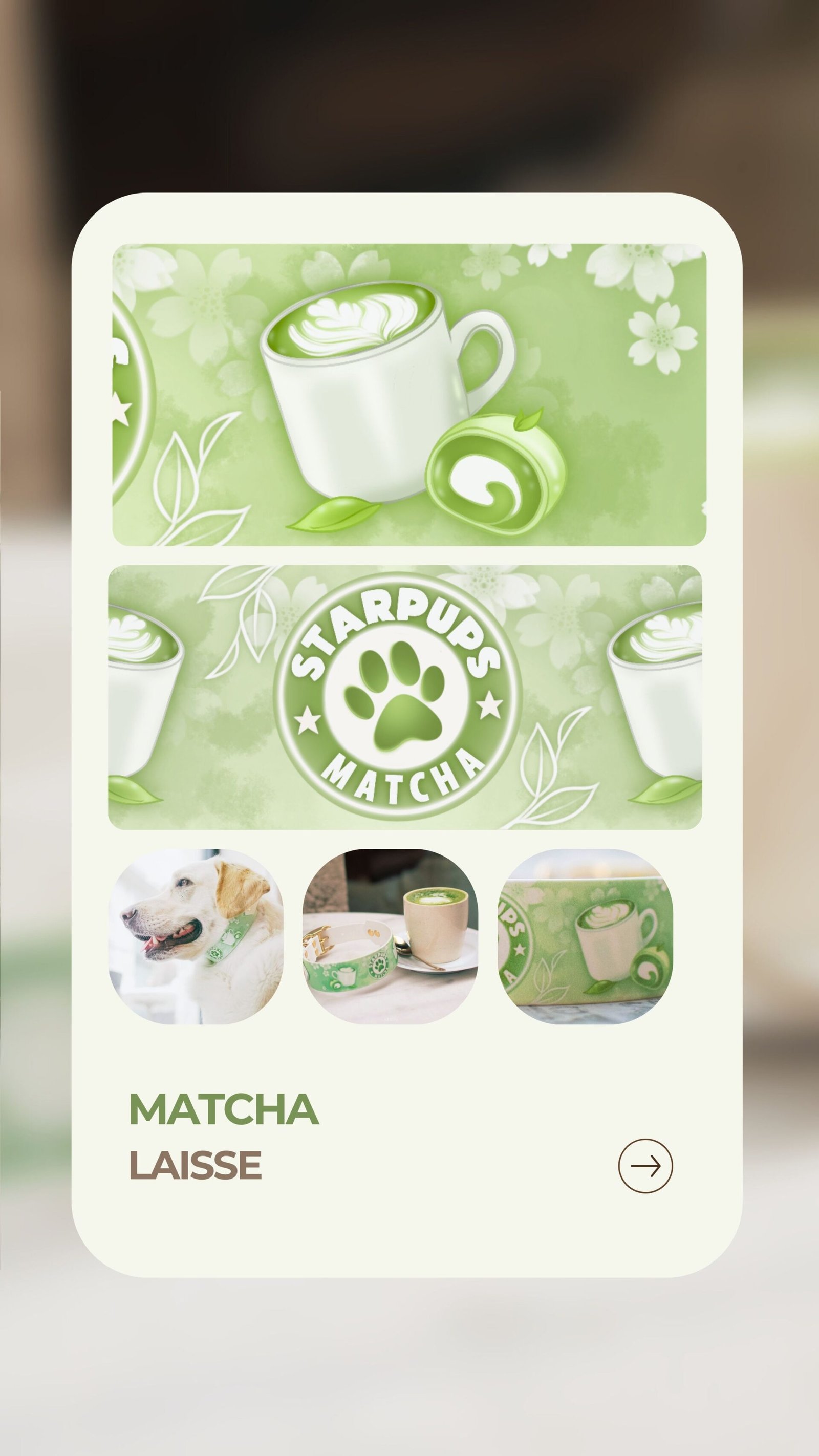 Matcha - Laisse