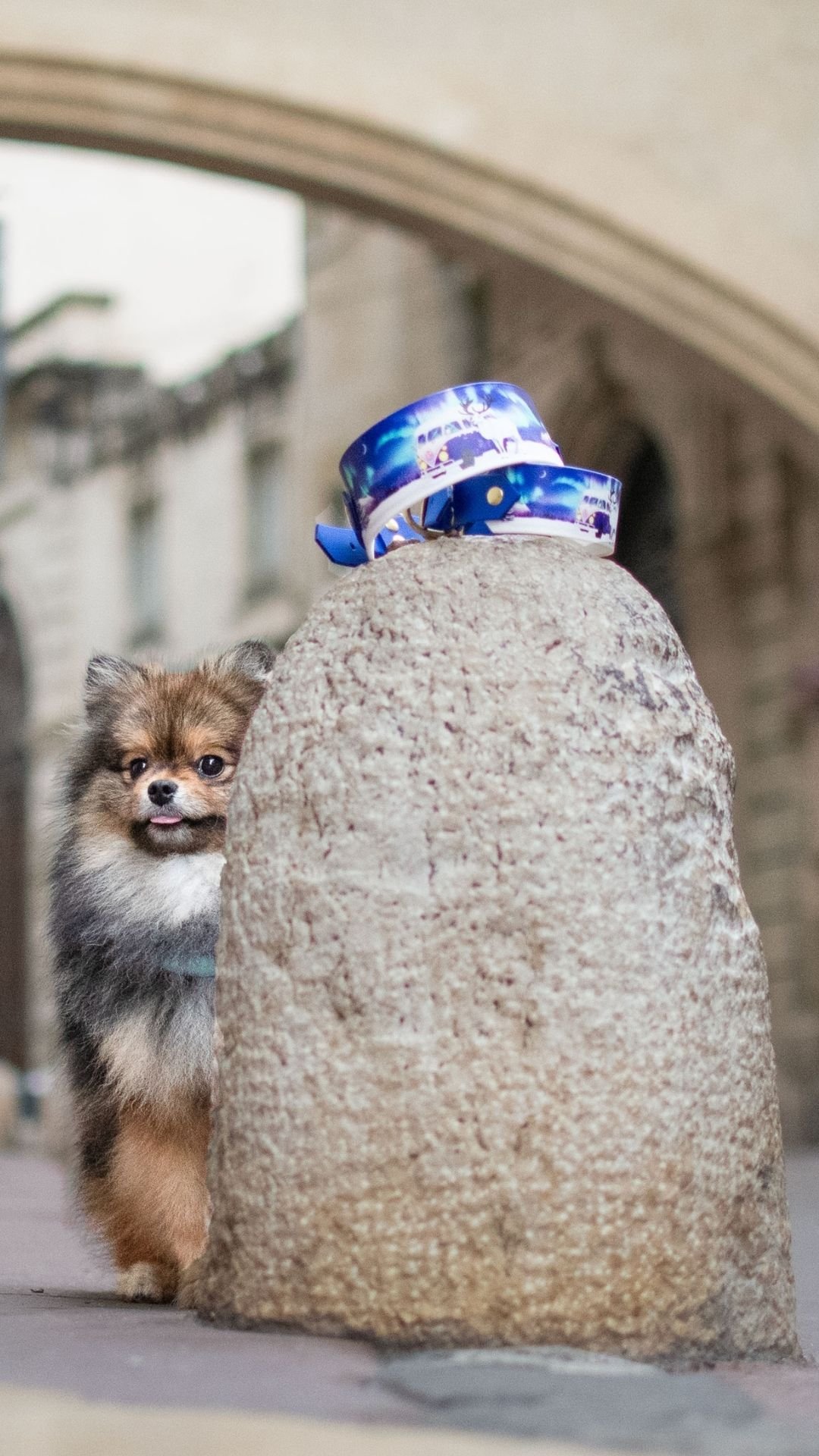 Van Laponie - Collier – Image 3