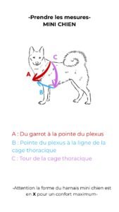 Guide de mesure harnais 1