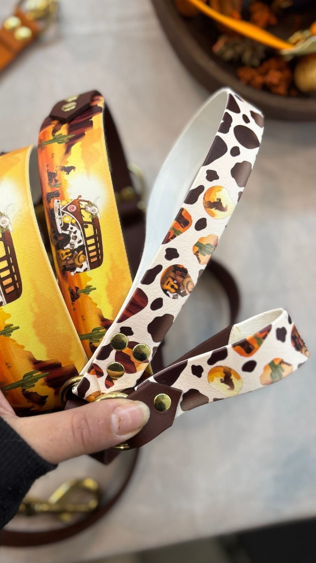 Van Texas - Laisse – Image 2