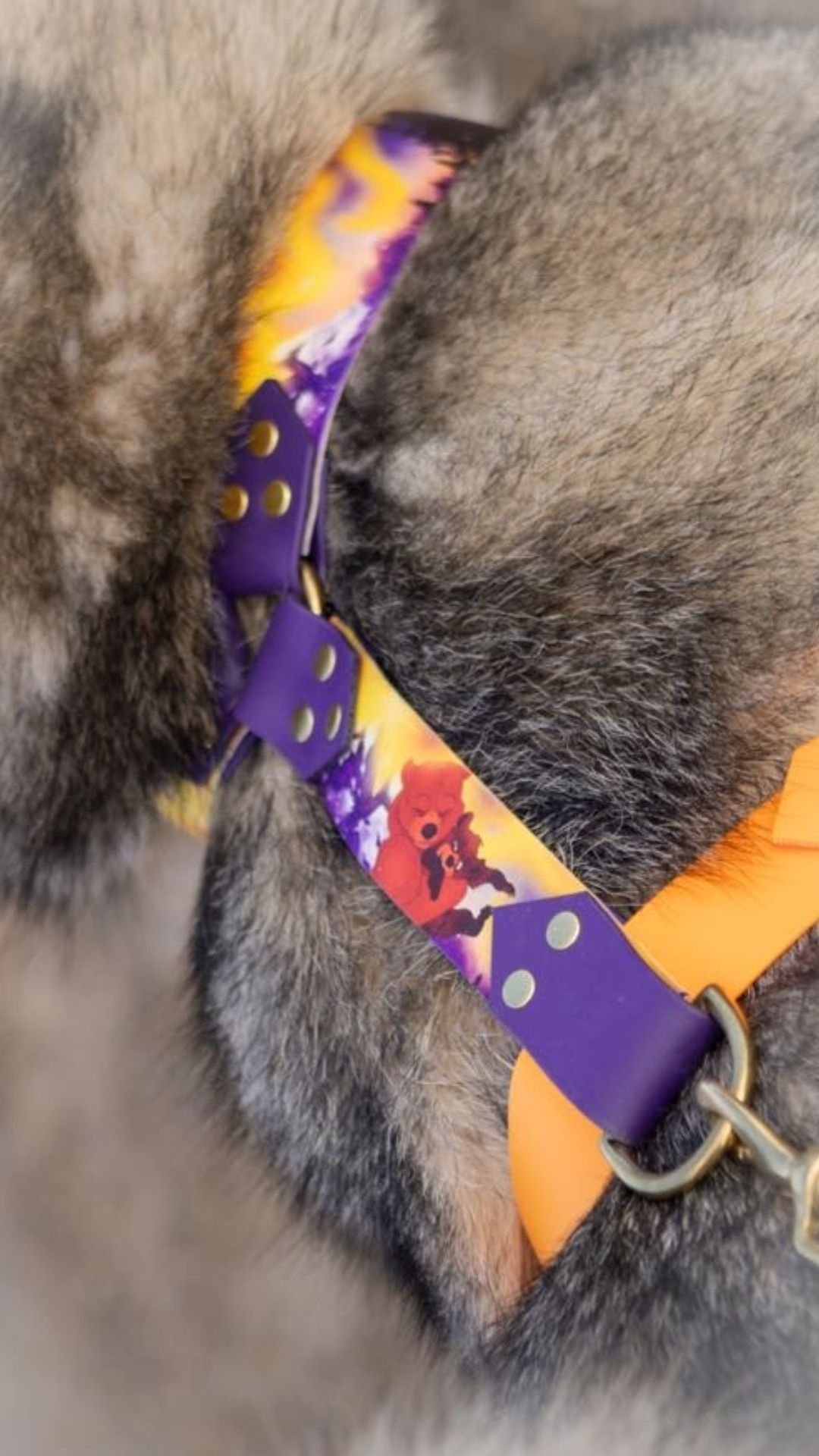 Brother Bear - Harnais – Image 2