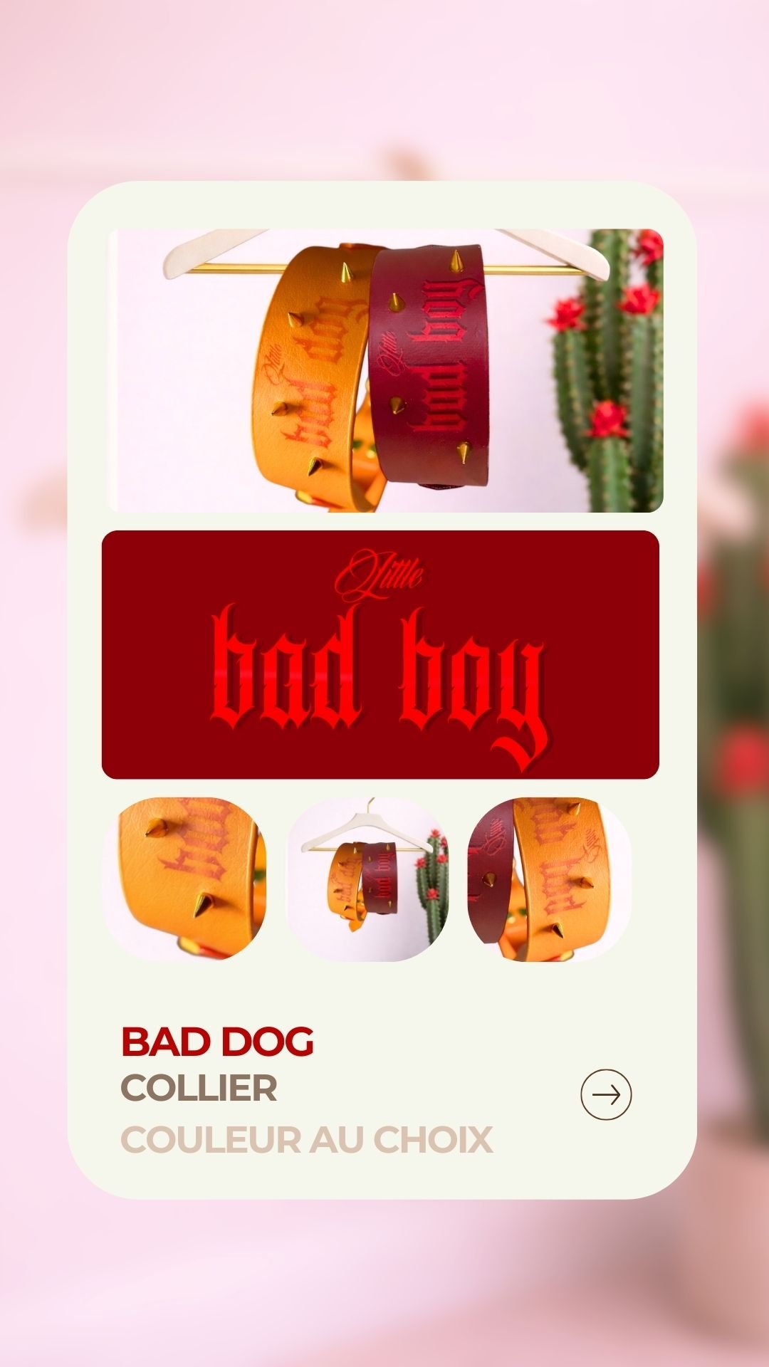 Bad dog - Collier