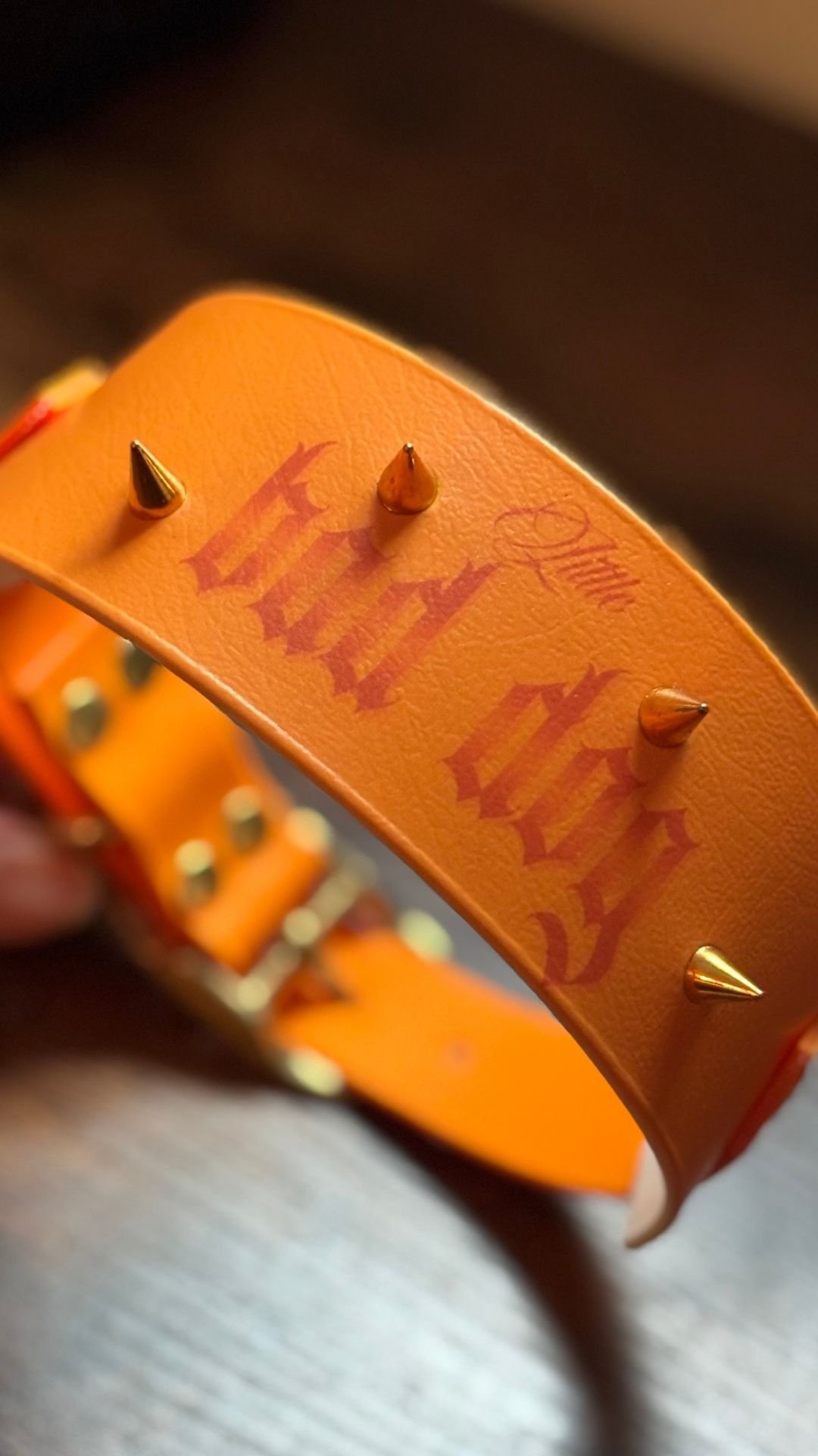 Bad dog - Collier – Image 3