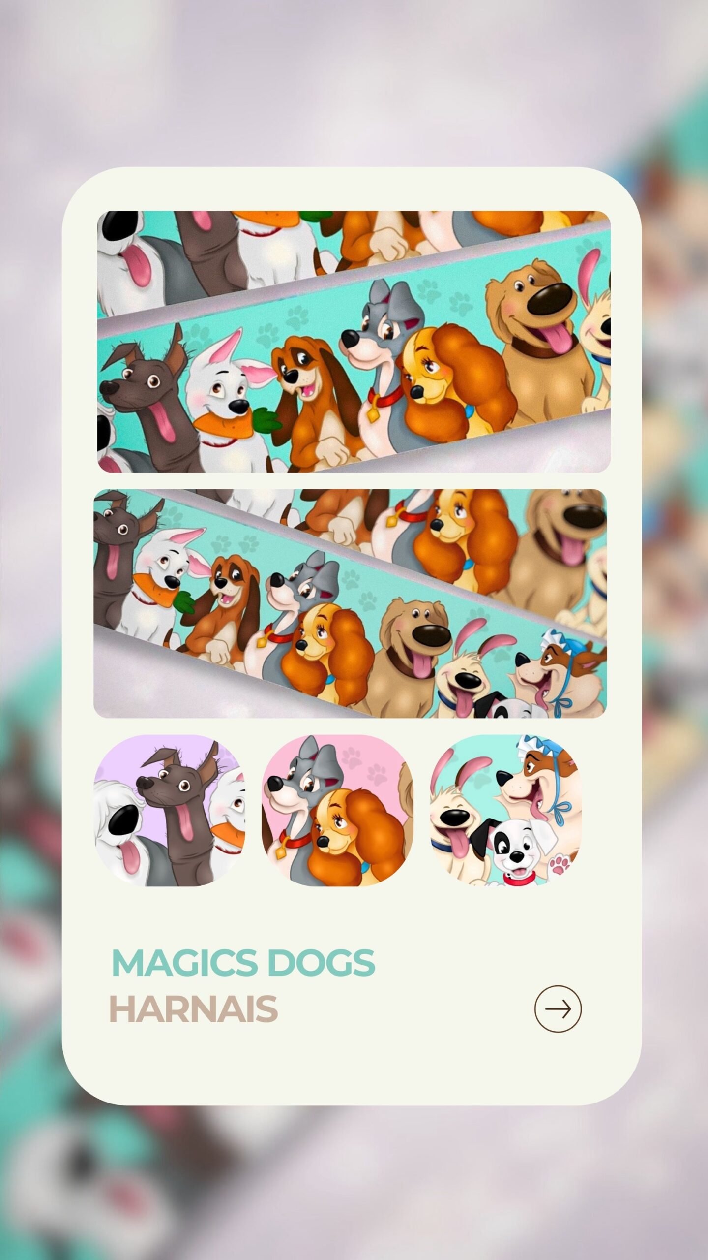 Magic dogs - Harnais