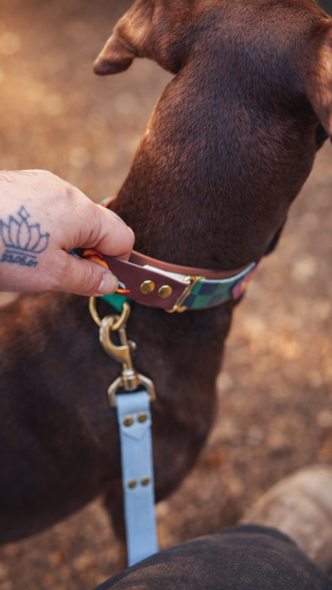 Confetti Grip - Collier sport / sécurité – Image 3
