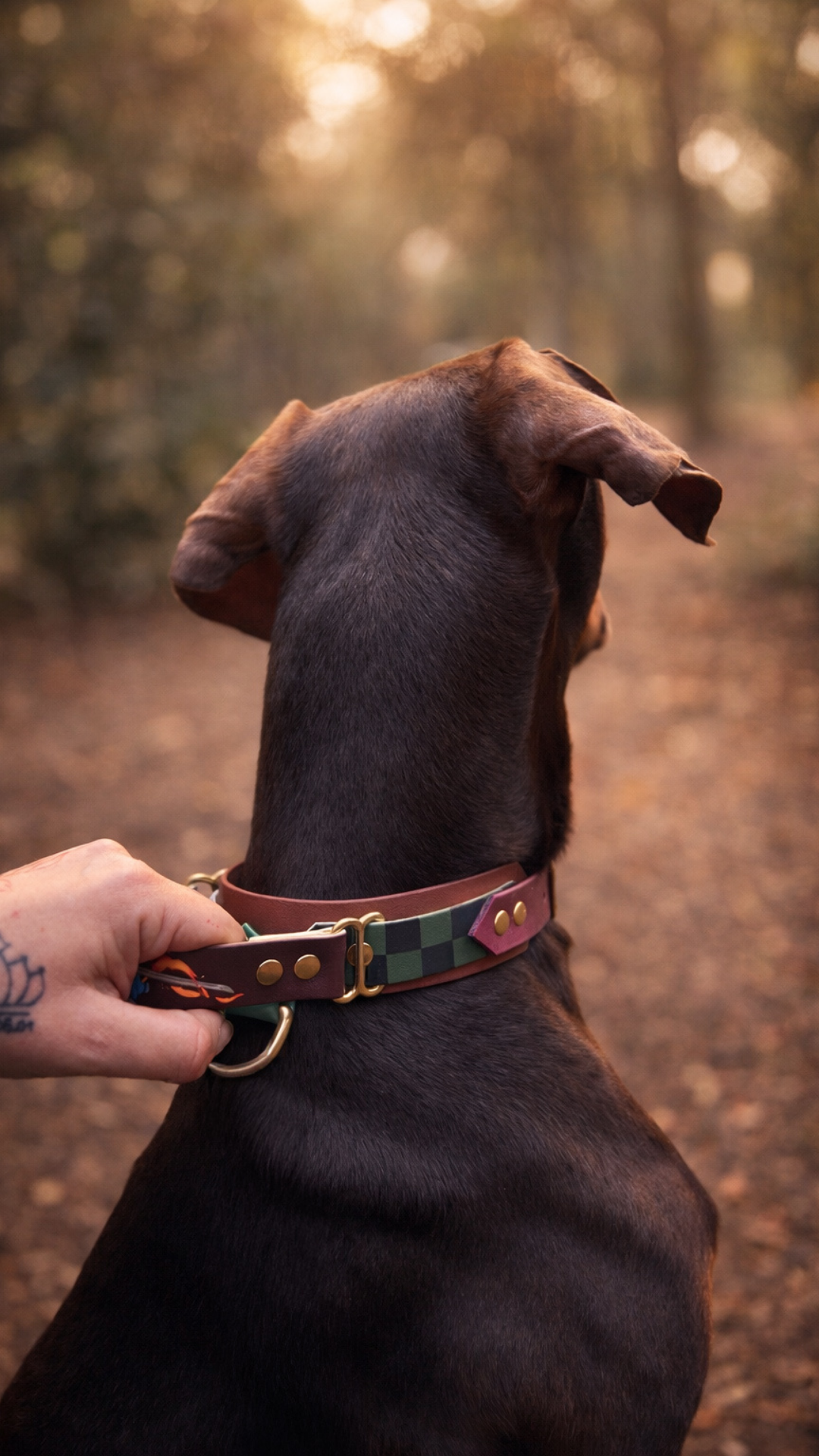 Confetti Grip - Collier sport / sécurité – Image 2