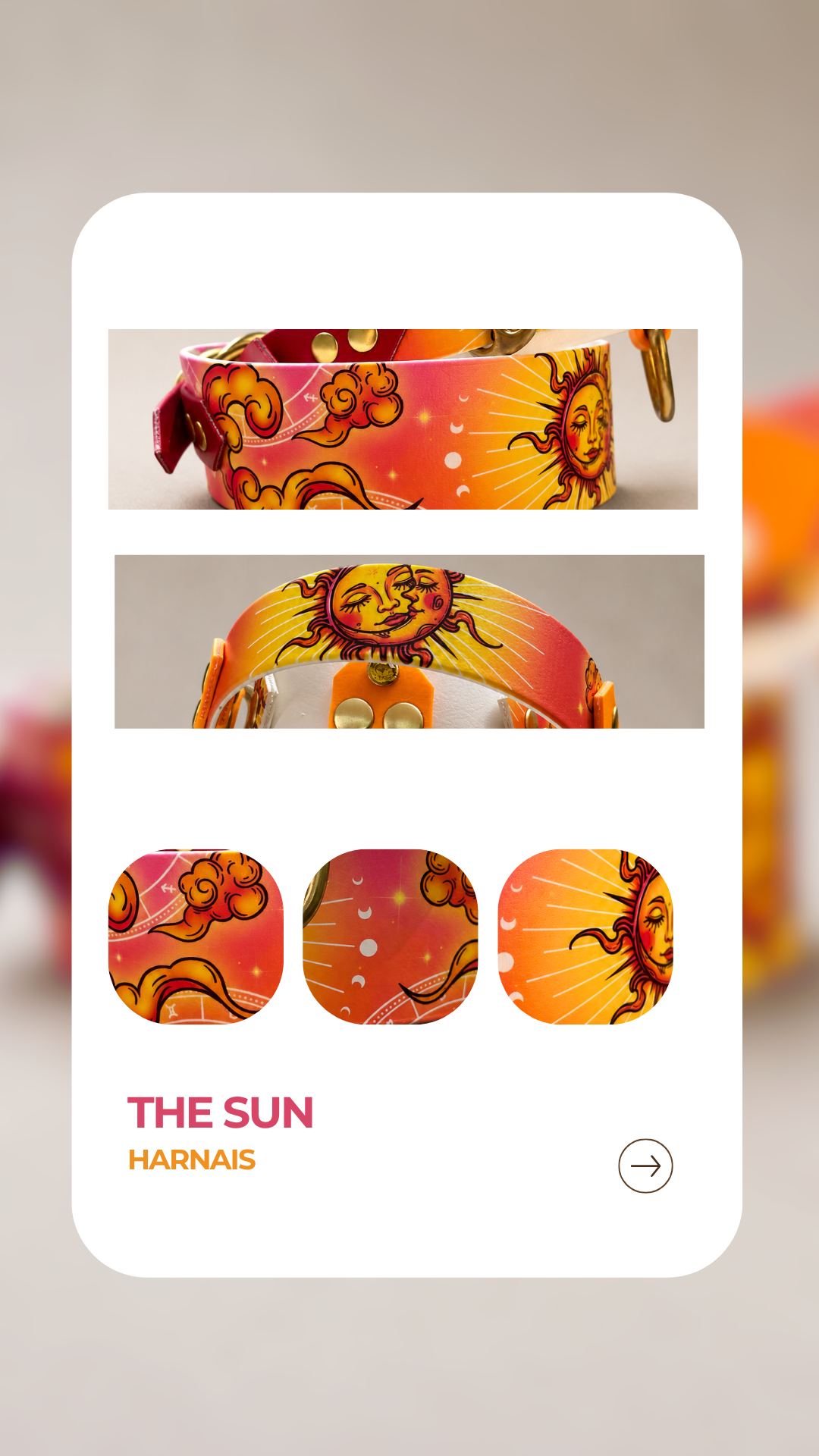 The sun - Harnais