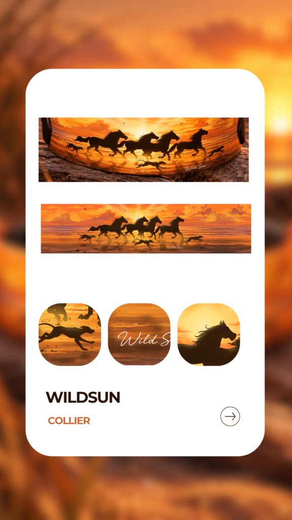 Wildsun - Collier solidaire