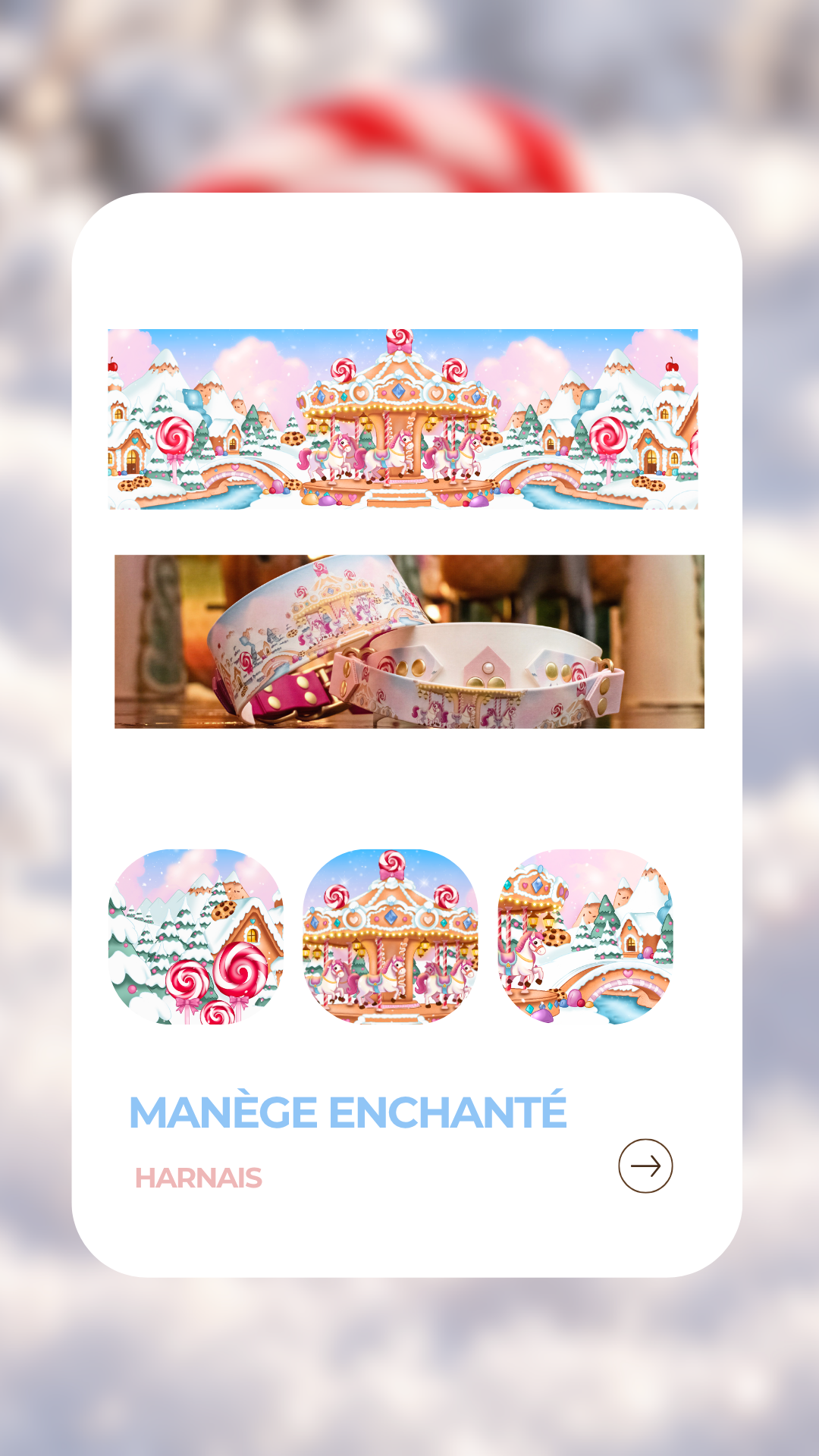 Manège enchanté - Harnais