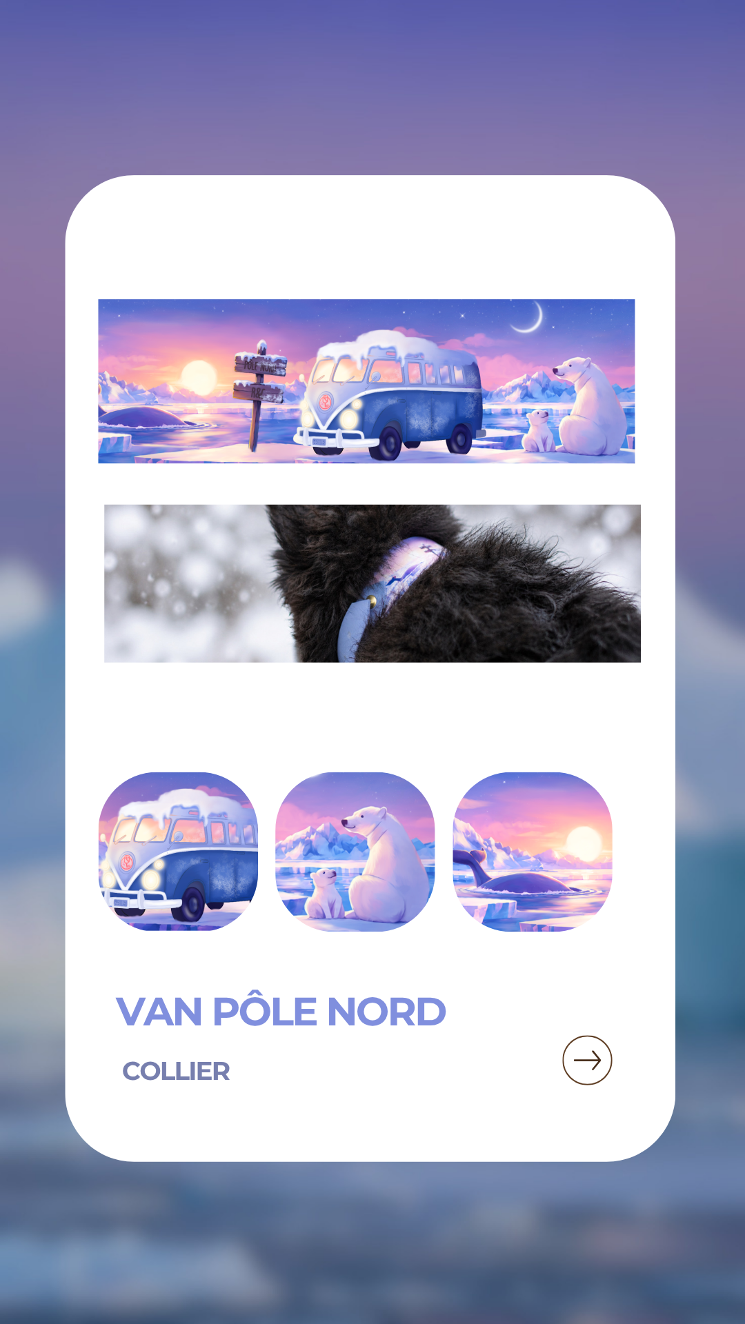 Van Pôle Nord - Collier
