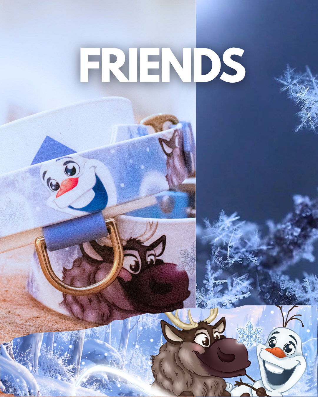 Friends - Laisse – Image 3