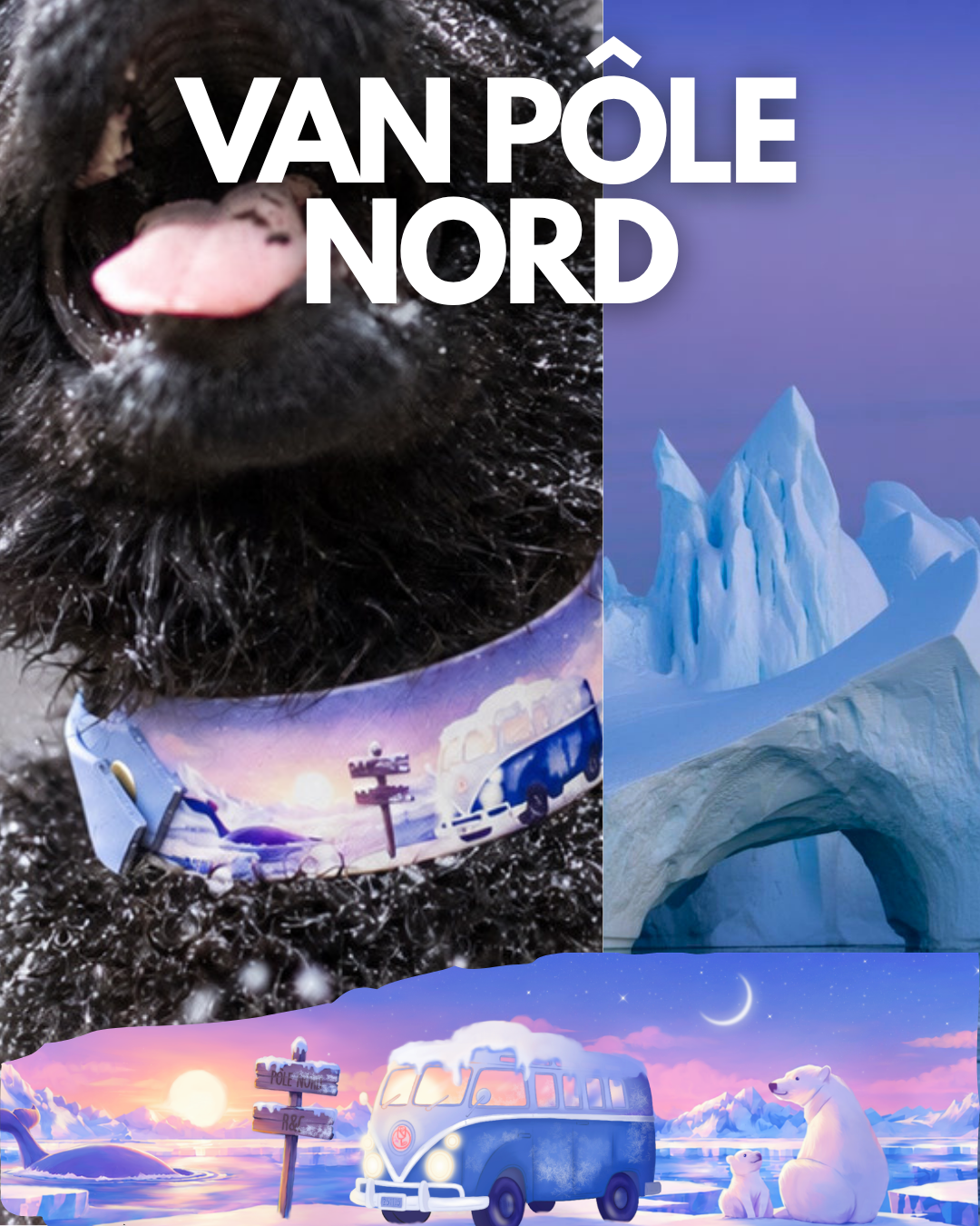 Van Pôle Nord - Harnais – Image 3