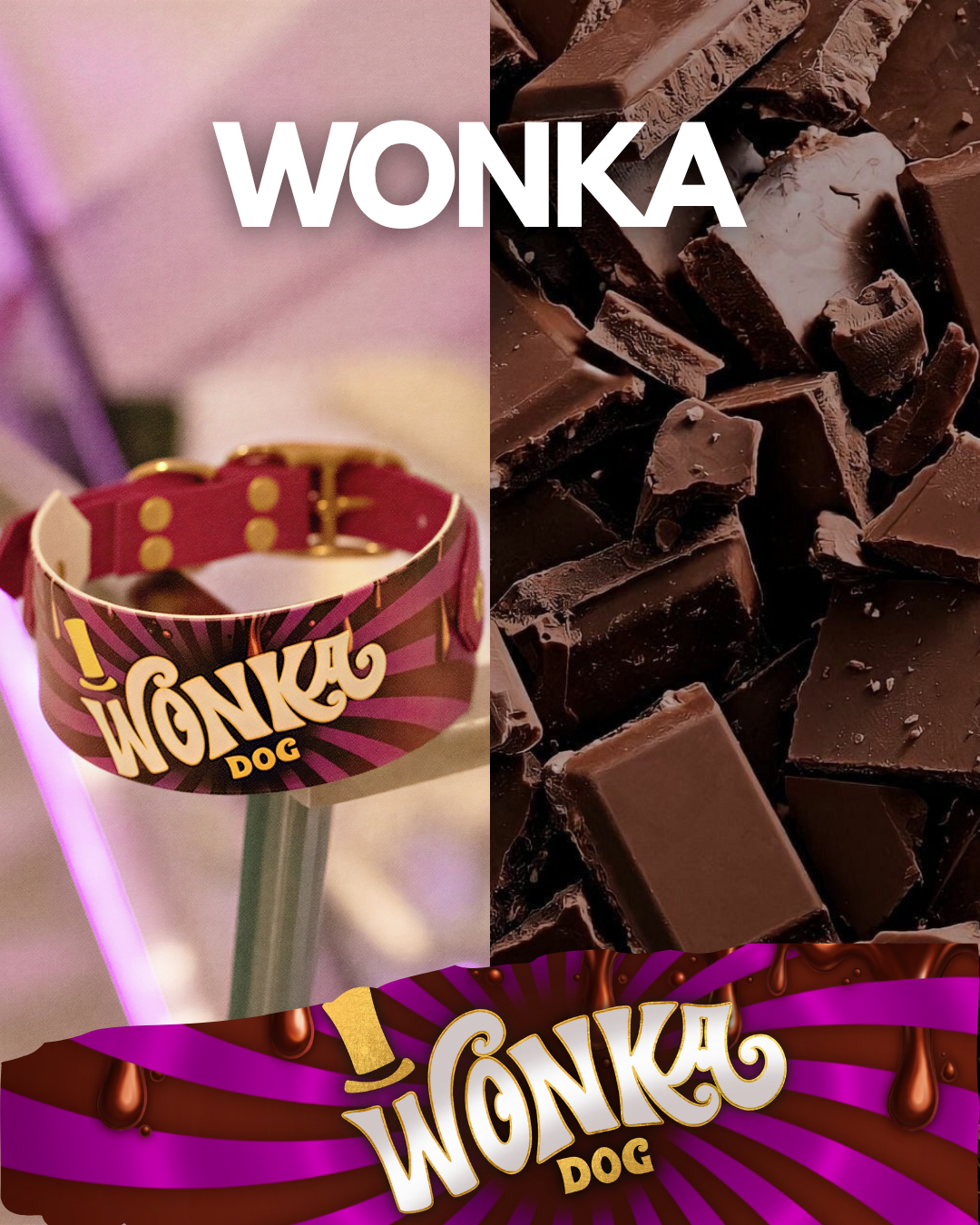 Wonka - Laisse – Image 2